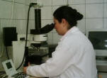 catering analiz