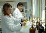 catering laboratuvar